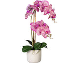 Planta Artificiala Orhidee Fluture Phalaenopsis In Vas H 60 Cm Roz