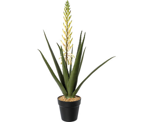 Planta Artificiala Aloe Vera In Ghiveci H 65 Cm Verde