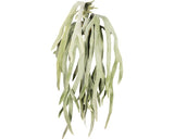 Planta Artificiala Feriga Platycerium Suspendata H 80 Cm Verde
