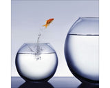 Tablou Sticla Jumping Fish 30x30 Cm