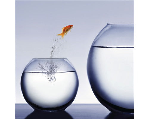 Tablou Sticla Jumping Fish 30x30 Cm