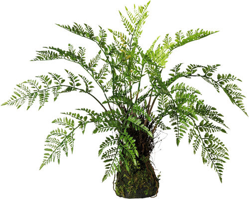 Planta Artificiala Feriga Pe Muschi H 60 Cm Verde