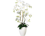 Planta Artificiala Orhidee Fluture Phalaenopsis In Vas H 110 Cm Alb