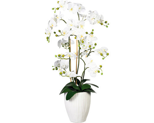 Planta Artificiala Orhidee Fluture Phalaenopsis In Vas H 110 Cm Alb
