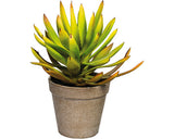 Planta Artificiala Aloe Plicatilis In Ghiveci H 24 Cm Verde
