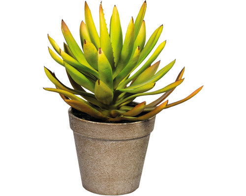Planta Artificiala Aloe Plicatilis In Ghiveci H 24 Cm Verde