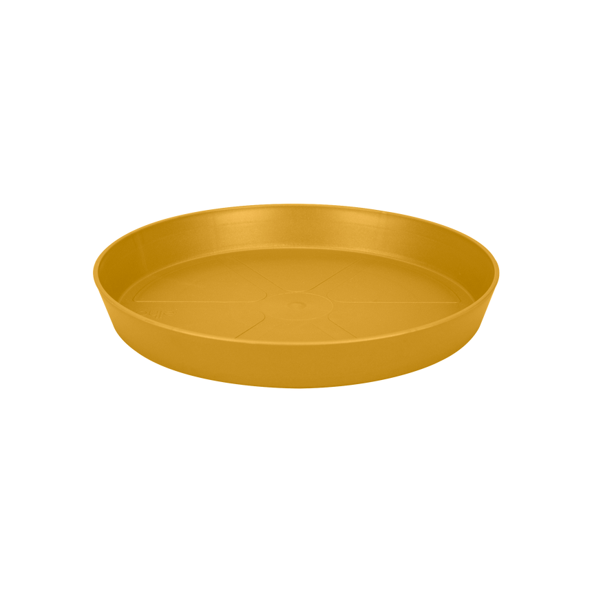 Farfurie Loft Urban 24 cm rotunda, culoare galben