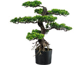 Planta Artificiala Bonsai Zada In Ghiveci H 65 Cm Verde
