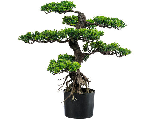 Planta Artificiala Bonsai Zada In Ghiveci H 65 Cm Verde