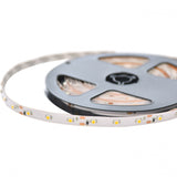 Banda LED Flink, 5 m, Rosu