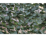 Protectie Vizuala Aspect Iedera 1x3m