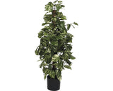 Planta Artificiala Scindapsus, Ø 45 Cm, H 110 Cm, Verde
