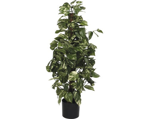 Planta Artificiala Scindapsus, Ø 45 Cm, H 110 Cm, Verde