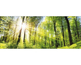 Tablou Sticla Towards The Sun 30x80 Cm