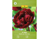 Bulbi De Lalele Floraself Unchiul Tom 11/12 8 Buc