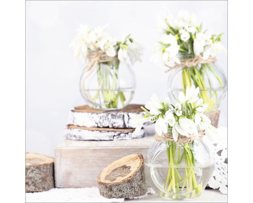 Tablou Sticla White & Yellow Flowers Ii 20x20 Cm
