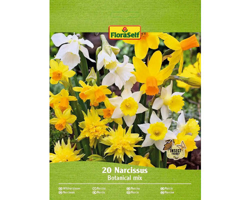 Bulbi Narcise Floraself Salbatice Mari Mix 10/12 20 Buc