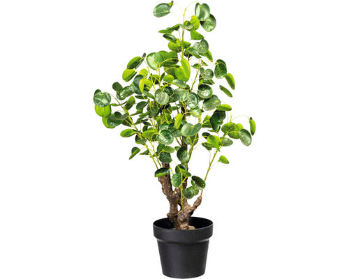 Planta Artificiala Pilea In Ghiveci H 77 Cm Verde