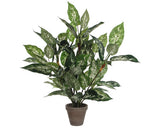 Planta Artificiala, Dieffenbachia, Verde