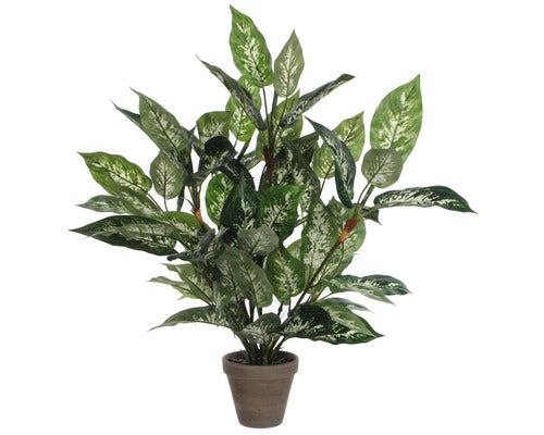 Planta Artificiala, Dieffenbachia, Verde