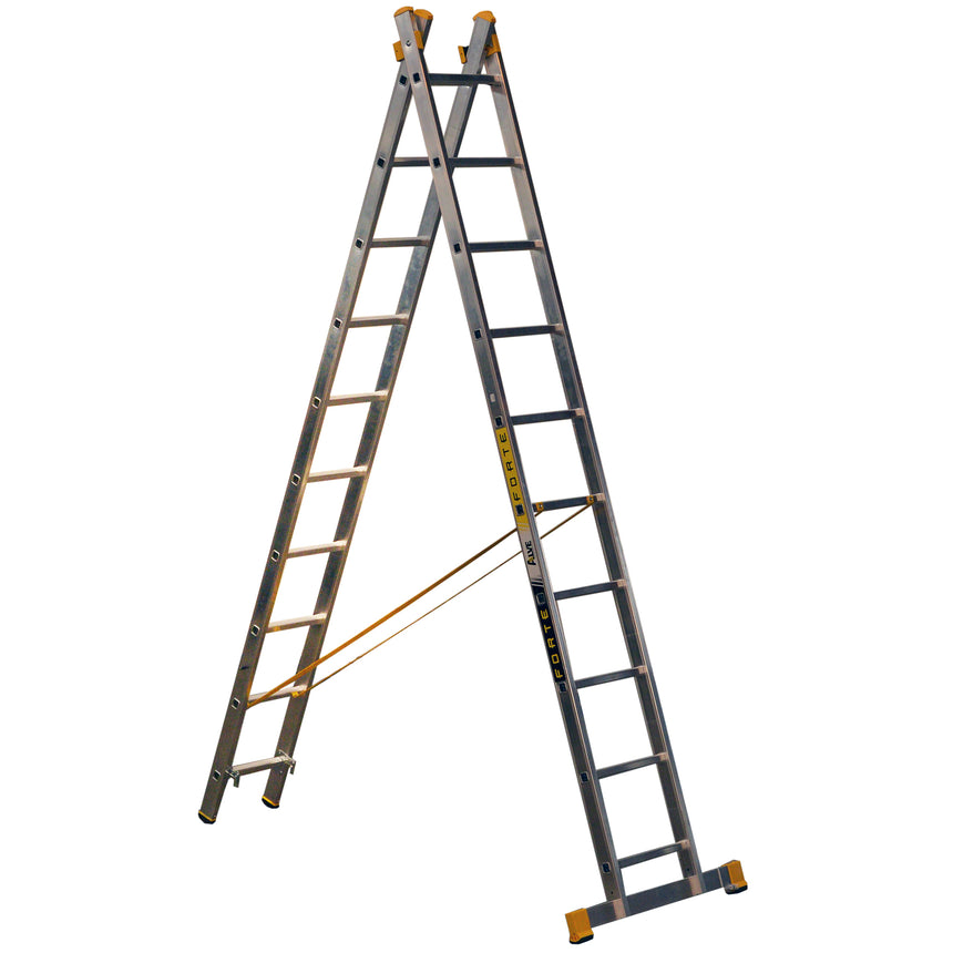 Scara profesionala Alverosal Forte Plus, 2 tronsoane, 10 trepte, 2.98 m