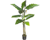 Planta Artificiala Colocasia In Ghiveci H 140 Cm Verde