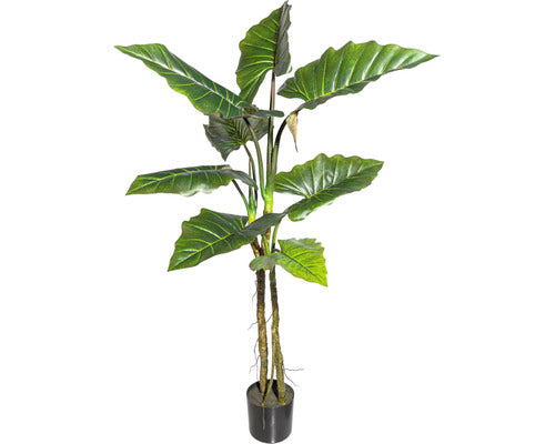 Planta Artificiala Colocasia In Ghiveci H 140 Cm Verde
