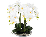 Planta Artificiala Orhidee Fluture Phalaenopsis In Ghiveci H 41 Cm Alb