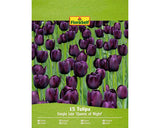 Bulbi De Lalele Floraself Queen Of Night 11/12 15 Buc