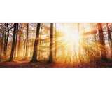 Tablou Sticla Autumn Lake 30x80 Cm
