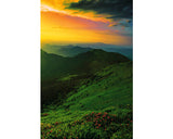 Tablou Canvas Dawn 60x90 Cm