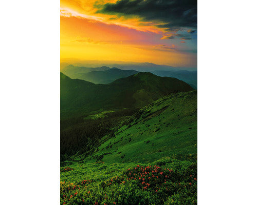 Tablou Canvas Dawn 60x90 Cm
