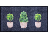Traversa Creation Garden Antracit 66x120 Cm