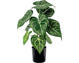 Planta Artificiala Anthurium In Ghiveci H 37 Cm Verde/ Alb
