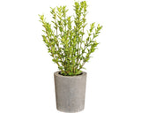 Planta Artificiala Cimbru In Ghiveci H 35 Cm Verde