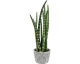 Planta Artificiala Limba Soacrei Sanseveria In Ghiveci i 45 Cm Verde