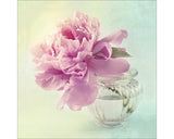 Tablou Sticla Sweet Peony Ii 50x50 Cm