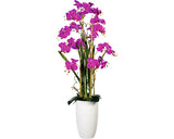 Aranjament Artificial Orhidee Phalaenopsis In Vas H 160 Cm Lila