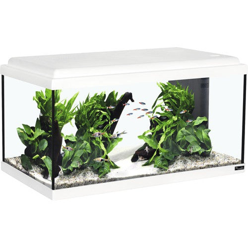 Acvariu Advance Led, 60 x 30 x 34 cm, alb