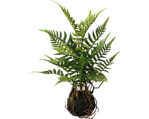Planta Artificiala Feriga Balot H 38 Cm Verde