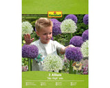 Bulbi De Flori Floraself Allium Sky High Mix 3 Buc