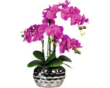 Planta Artificiala Orhidee Fluture Phalaenopsis In Vas Oval 4 Ramuri H 55 Cm Lila