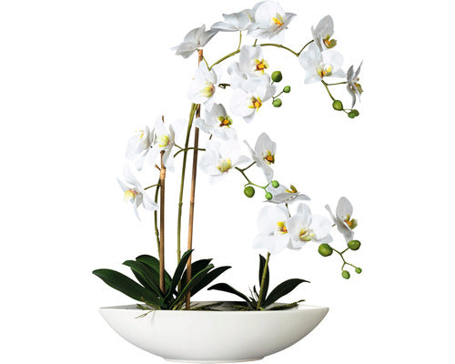 Planta Artificiala Orhidee Fluture Phalaenopsis In Vas 4 Ramuri H 60 Cm Alb