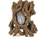 Decoratiune Acvariu Koramu