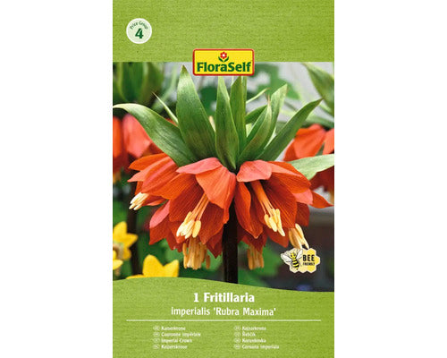 Bulb De Flori Floraself Fritillaria Imperialis Rubra 20/22 1 Buc