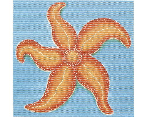 Covoras Spuma Stea De Mare 60x60 Cm