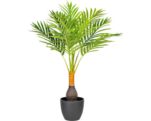 Palmier Artificial Howea Kentia H 70 Cm Verde/ Negru