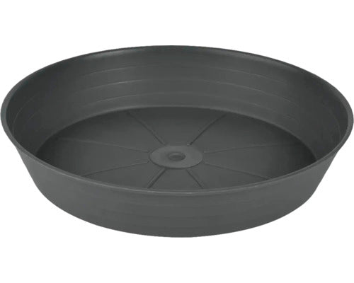 Farfurie Primavera Ø 34 Cm Antracit
