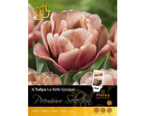Bulbi De Lalele Premium Selection La Belle Epoque 6 Buc