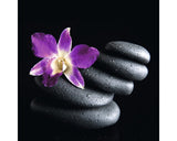 Tablou Sticla Stone 20x20 Cm